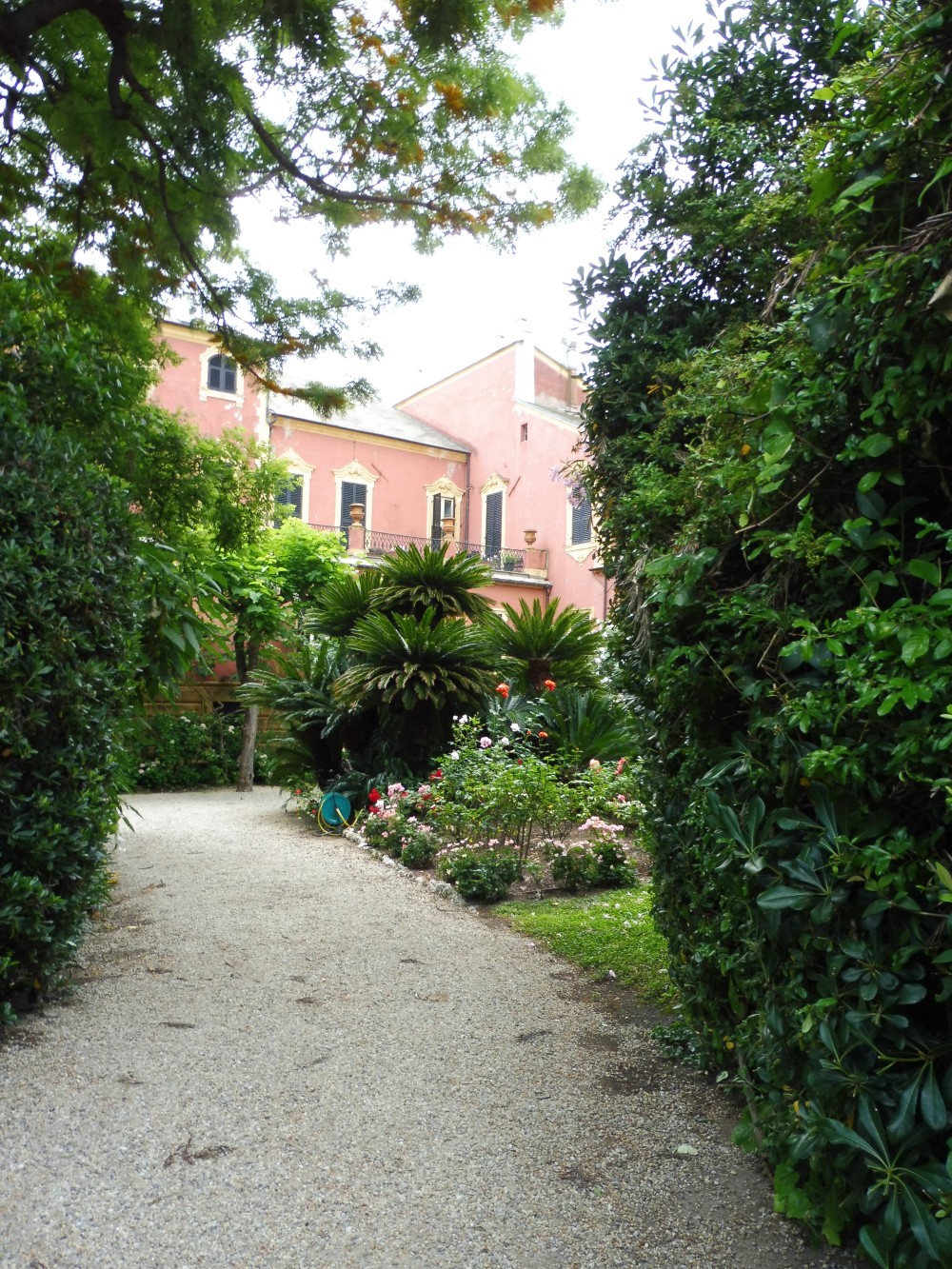 Private Garden in Alassio by cookingtrips.wordpress.com